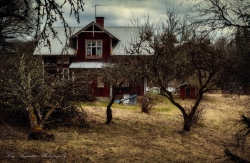 Abandoned Farmhouse 